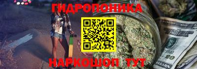 гашик Ливны
