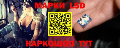 индика Мариинск