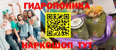 гашик Ливны